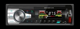 REMYC ACC2-001 - VIDEO Y AUDIO 1 DIN SIN GPS BLUETOOTH