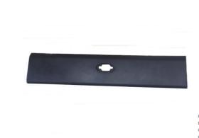 REMYC CAR20-029 - MOLDURA, PANEL LATERAL - 768F20003R