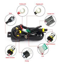 REMYC NO1-063 - ACCESORIOS Controlador de arnés de cables HID