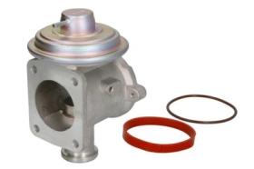 REMYC EGRA-124-MM - EGR 11717804352 7804351 11717804351 7804352 14472