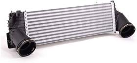 REMYC RAD4-055 - INTERCOOLER  17517809321 17517809321 RAD4-055