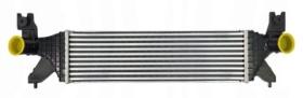 REMYC RAD4-110 - INTERCOOLER 1362055P00
