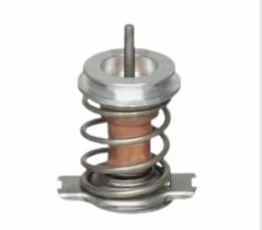 REMYC TERM-053-KIT - KIT REPARACION, TERMOSTATO 0055180041; 0055194271; 005522402