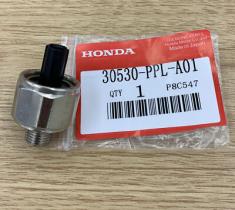 REMYC SEN25-073-O - SENSOR DE DETONACIONES SENSOR DE GOLPETEO 30530-PPL-A01