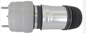 REMYC SUS-BA-163F - BALONA SUSPENSION 2533207200