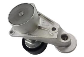 REMYC DTB21-024-O - POLEA TENSORA DE CORREA DE DISTRIBUCION 31251252