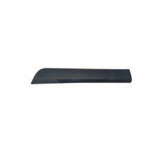 REMYC CAR20-066 - MOLDURA, PANEL LATERAL 828775691R
