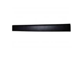 REMYC CAR20-067 - MOLDURA, PANEL LATERAL 808779284R