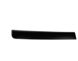 REMYC CAR20-100 - MOLDURA, PANEL LATERAL 828760894R